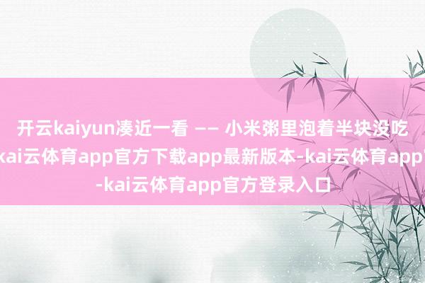 开云kaiyun凑近一看 —— 小米粥里泡着半块没吃完的跳跳糖-kai云体育app官方下载app最新版本-kai云体育app官方登录入口
