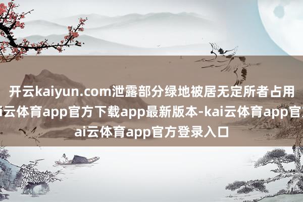 开云kaiyun.com泄露部分绿地被居无定所者占用的近况-kai云体育app官方下载app最新版本-kai云体育app官方登录入口