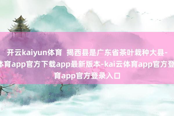 开云kaiyun体育  揭西县是广东省茶叶栽种大县-kai云体育app官方下载app最新版本-kai云体育app官方登录入口